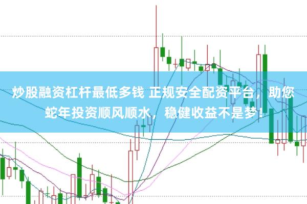 炒股融资杠杆最低多钱 正规安全配资平台，助您蛇年投资顺风顺水，稳健收益不是梦！
