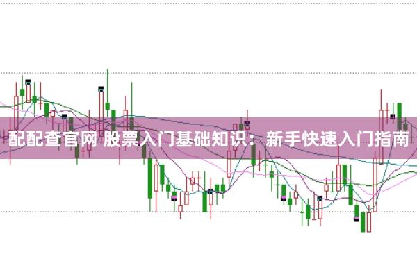 配配查官网 股票入门基础知识：新手快速入门指南