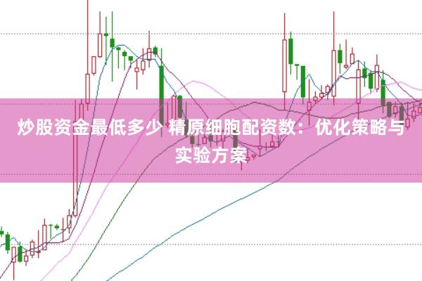 炒股资金最低多少 精原细胞配资数:优化策略与实验方案