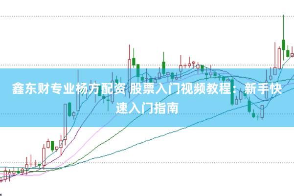 鑫东财专业杨方配资 股票入门视频教程：新手快速入门指南