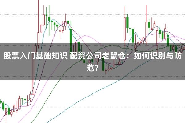 股票入门基础知识 配资公司老鼠仓：如何识别与防范？