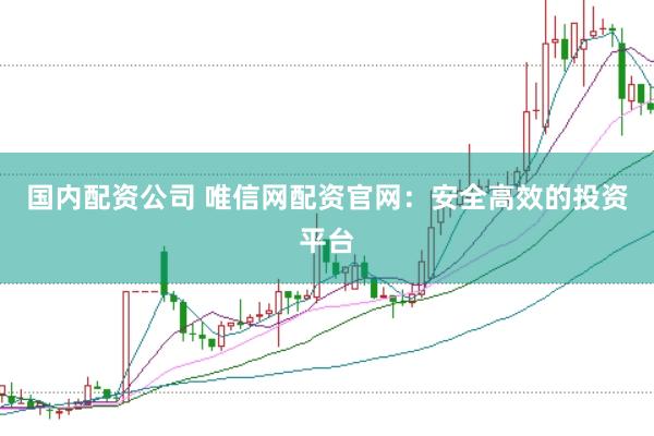 国内配资公司 唯信网配资官网:安全高效的投资平台