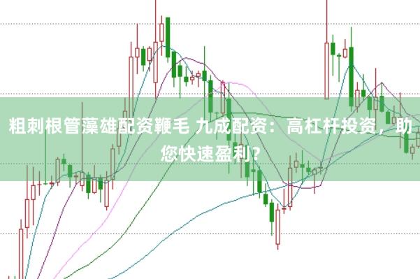 粗刺根管藻雄配资鞭毛 九成配资:高杠杆投资,助您快速盈利?