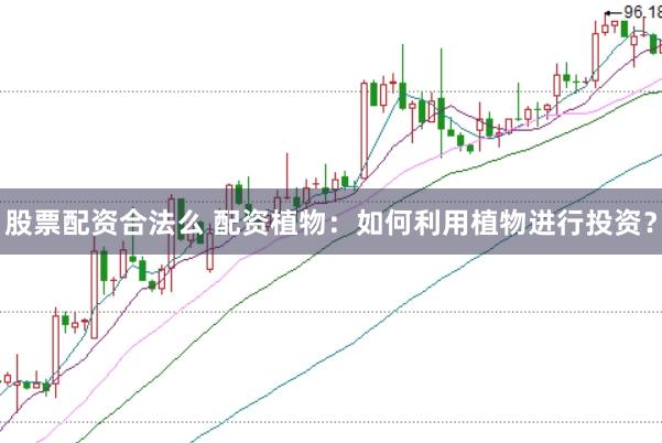 股票配资合法么 配资植物：如何利用植物进行投资？