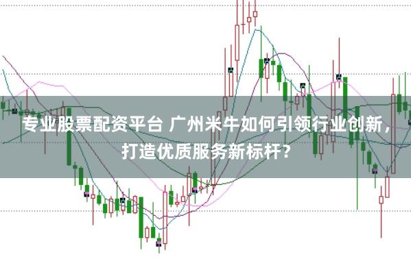专业股票配资平台 广州米牛如何引领行业创新,打造优质服务新标杆?