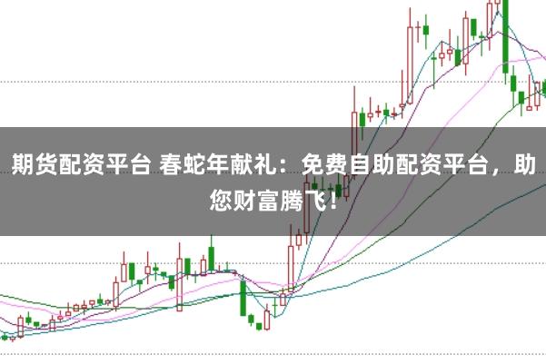 期货配资平台 春蛇年献礼:免费自助配资平台,助您财富腾飞!
