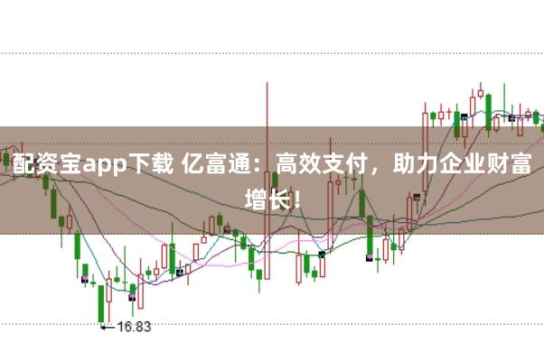 配资宝app下载 亿富通：高效支付，助力企业财富增长！