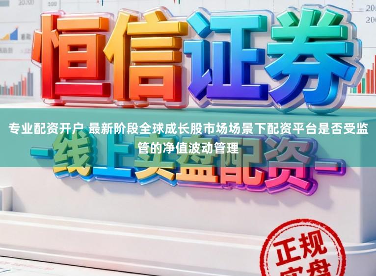 专业配资开户 最新阶段全球成长股市场场景下配资平台是否受监管的净值波动管理