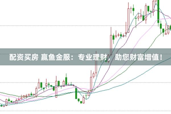 配资买房 赢鱼金服：专业理财，助您财富增值！